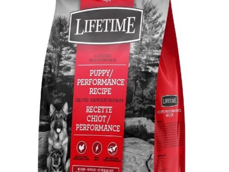 Nourriture Trouw Nutrition Lifetime Performance pour chiot , poulet   avoine Fashion