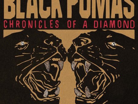 Black Pumas - Chronicles Of A Diamond LP (Cloudy Red Vinyl) on Sale