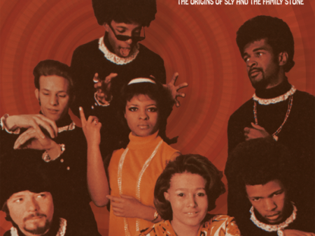 Various - Stone Soul (Origin of Sly And The Family Stone) LP Sale