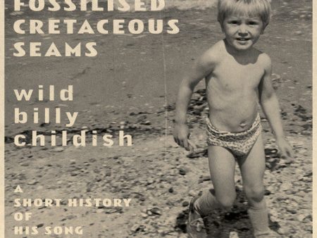 Billy Childish - From Fossilised Cretaceous Seams: A Short History Of His Song And Dance Groups LP For Sale