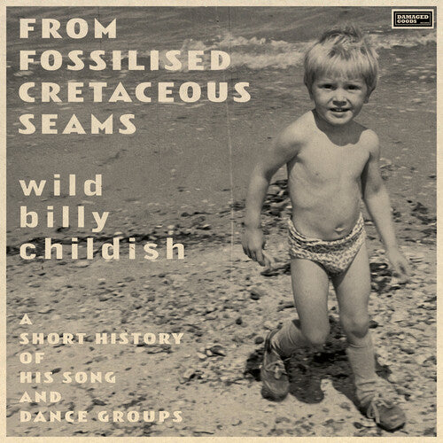 Billy Childish - From Fossilised Cretaceous Seams: A Short History Of His Song And Dance Groups LP For Sale