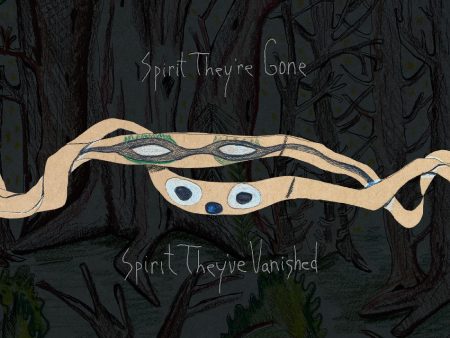 Animal Collective - Spirit They re Gone, Spirit They ve Vanished (Remastered 2023) (INDIE EXCLUSIVE,  GRASS GREEN VINYL) 2LP (MARKDOWN) Online now