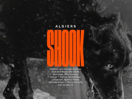 Algiers - Shook LP (MARKDOWN) Cheap