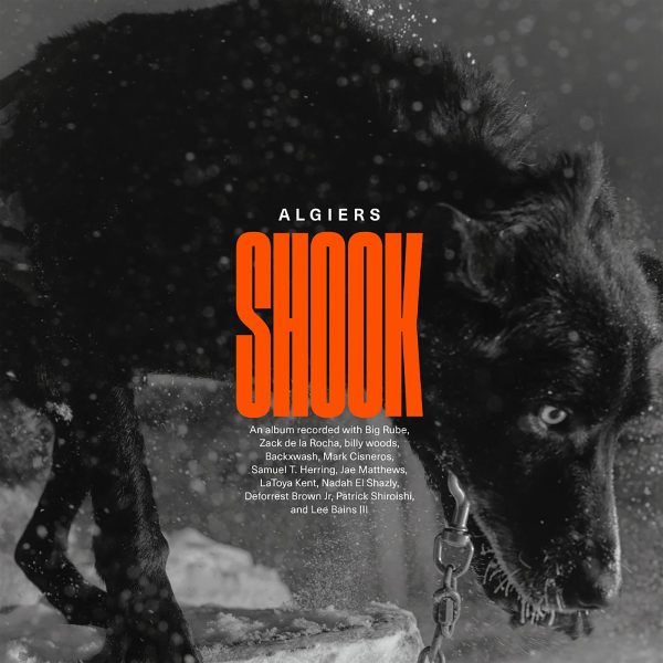 Algiers - Shook LP (MARKDOWN) Cheap