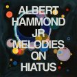 Albert Hammond Jr. (The Strokes) - Melodies on Hiatus LP (MARKDOWN) Cheap