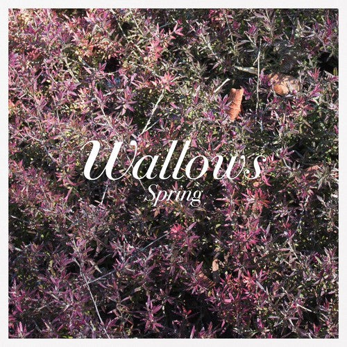 Wallows - Spring LP Fashion