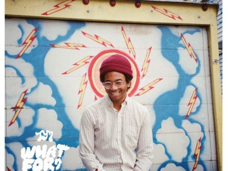 Toro y Moi - What For? Fashion