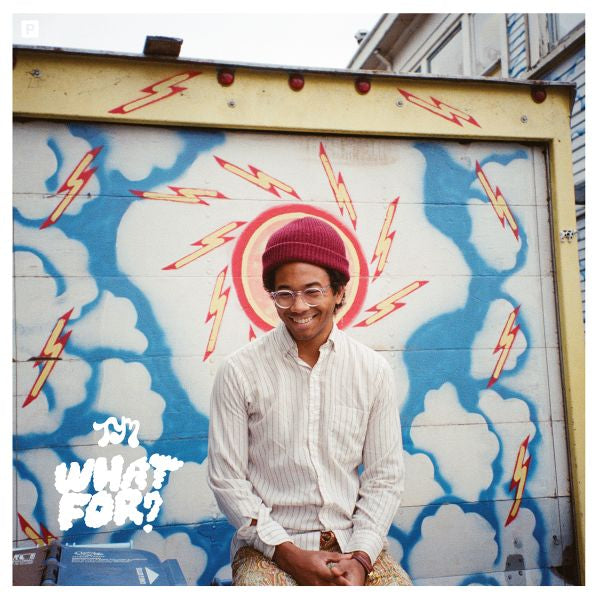 Toro y Moi - What For? Fashion