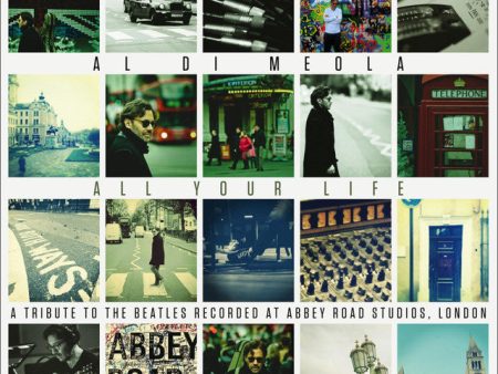 Al Di Meola - All Your Life 2LP For Sale