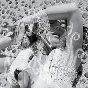 Bjork- Vespertine LP Fashion