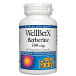 WellBetX® Berberine 500 mg 500 mg For Discount