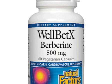 WellBetX® Berberine 500 mg 500 mg For Discount