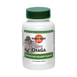 Super Chaga Online Hot Sale