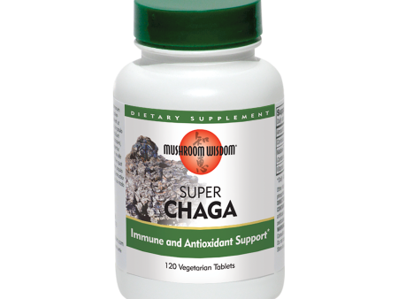 Super Chaga Online Hot Sale