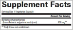 WellBetX® Berberine 500 mg 500 mg For Discount