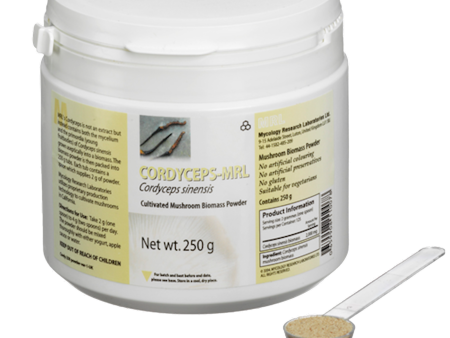 Cordyceps Sinensis-MRL 250 gms For Sale