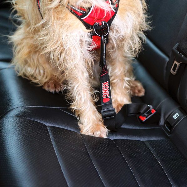 KONG Seat Belt Tether Fashion