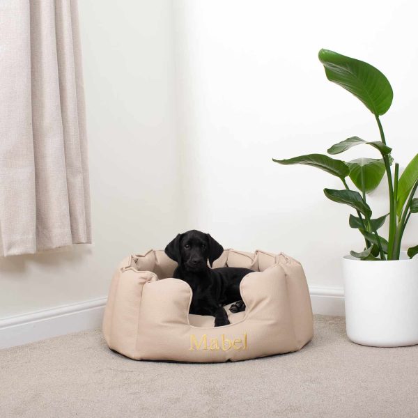 High Wall Bed With Removable Covers in Rhino Tough Sand Faux Leather by Lords & Labradors Hot on Sale