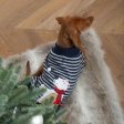 Stripey Polar Brrr Dog Jumper Hot on Sale