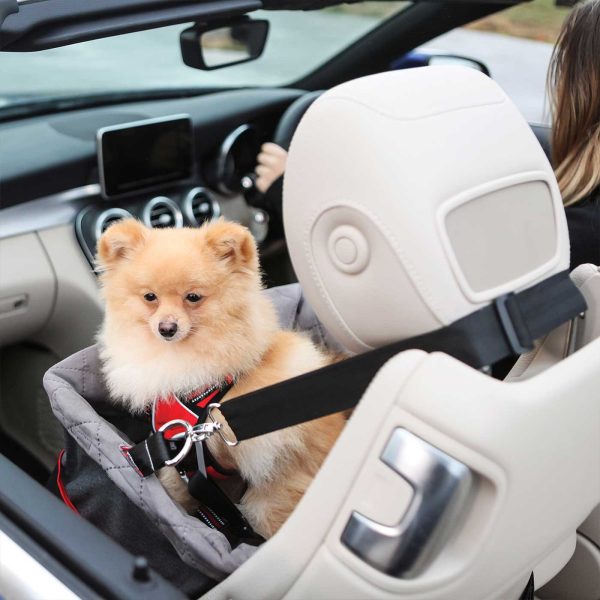 KONG Secure Booster Seat for Dogs For Cheap