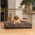 Gold Dog Crate with Cushion in Bouclé by Lords & Labradors Online now