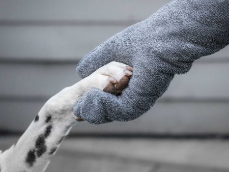 Bamboo Drying Mitts in Gun Metal by Lords & Labradors Fashion