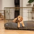 Gold Dog Crate with Cushion in Bouclé by Lords & Labradors Online now