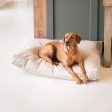 Dog Cushion With Removable Cover in Rhino Tough Sand Faux Leather by Lords & Labradors on Sale