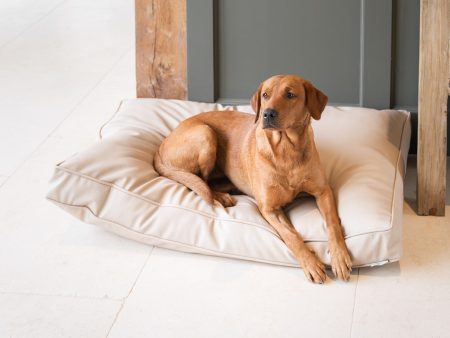 Dog Cushion With Removable Cover in Rhino Tough Sand Faux Leather by Lords & Labradors on Sale