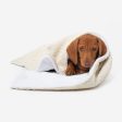 Dog & Puppy Blanket in Bouclé by Lords & Labradors Cheap