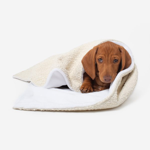 Dog & Puppy Blanket in Bouclé by Lords & Labradors Cheap