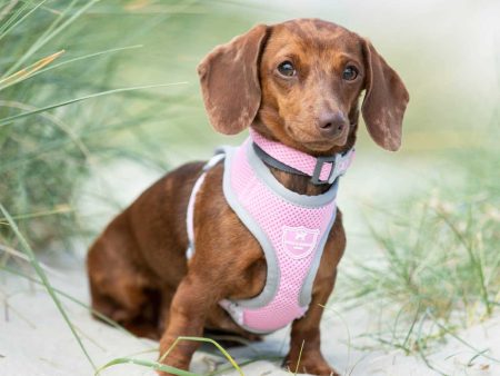 Hugo & Hudson Pink Mesh Dog Harness For Discount