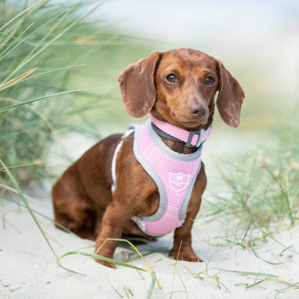 Hugo & Hudson Pink Mesh Dog Harness For Discount