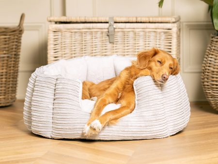 High Wall Bed With Removable Covers in Essentials Light Grey Plush by Lords & Labradors For Sale