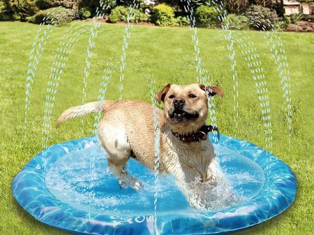 All for Paws Chill Out Sprinkler Fun Mat For Cheap