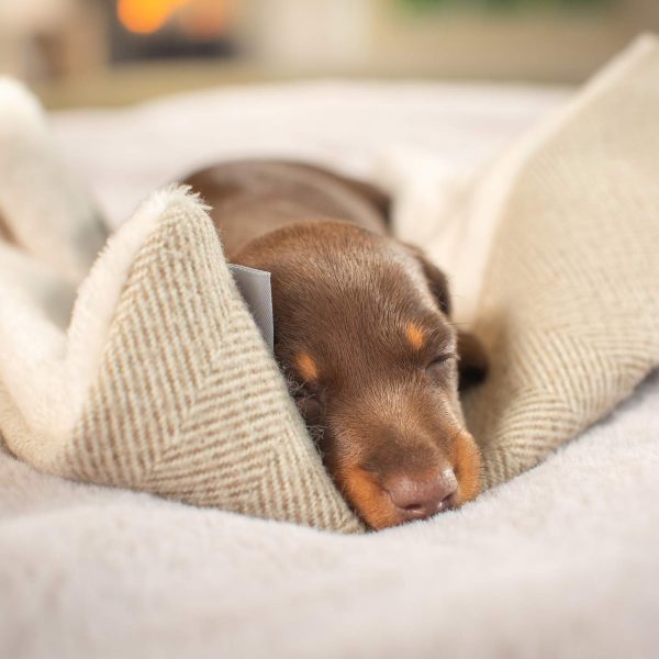 Puppy Scent Blanket in Herringbone Tweed by Lords & Labradors Supply