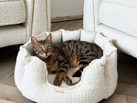 High Wall Bed For Cats in Bouclé by Lords & Labradors For Sale