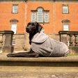 Bamboo Drying Coat in Gun Metal by Lords & Labradors on Sale