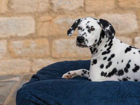 Bamboo Drying Cushion Cover in Navy by Lords & Labradors Cheap