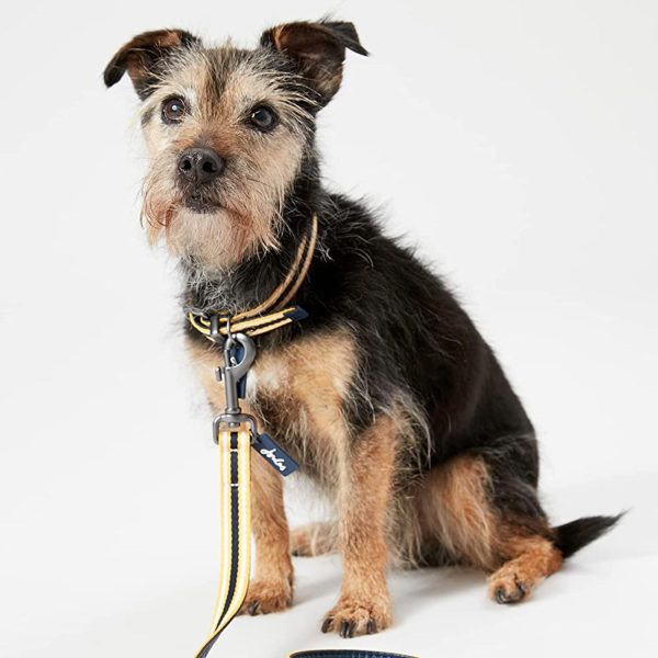 Joules Coastal Yellow & Navy Dog Lead Online Hot Sale