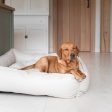 Box Bed With Removable Covers in Rhino Tough Sand Faux Leather by Lords & Labradors For Discount