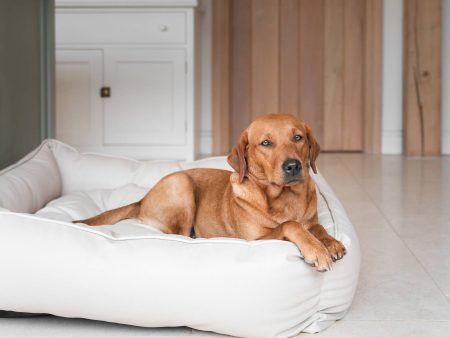 Box Bed With Removable Covers in Rhino Tough Sand Faux Leather by Lords & Labradors For Discount