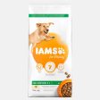 IAMS Vitality Large Breed Adult Food with Fresh Chicken For Discount