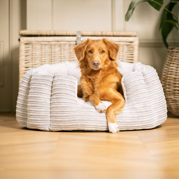 High Wall Bed With Removable Covers in Essentials Light Grey Plush by Lords & Labradors For Sale