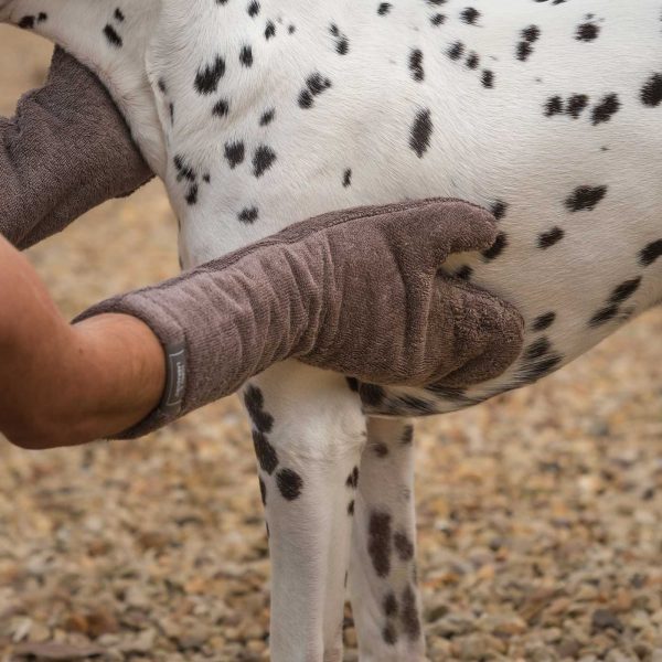 Bamboo Drying Mitts in Mole by Lords & Labradors Online