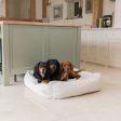 Box Bed With Removable Covers in Ivory Bouclé by Lords & Labradors on Sale