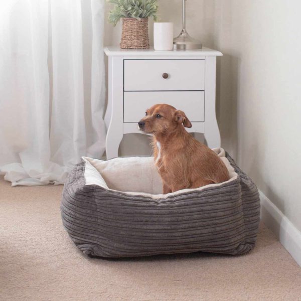 Box Bed With Removable Covers in Essentials Plush by Lords & Labradors For Sale