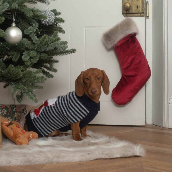 Stripey Polar Brrr Dog Jumper Hot on Sale