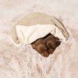 Puppy Scent Blanket in Bouclé by Lords & Labradors For Cheap