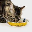 Joules  Clever Cat  Cat Bowl For Sale